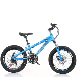 VLRA BIKE VJGL-20 inch kids mountain balance bicycle in blue