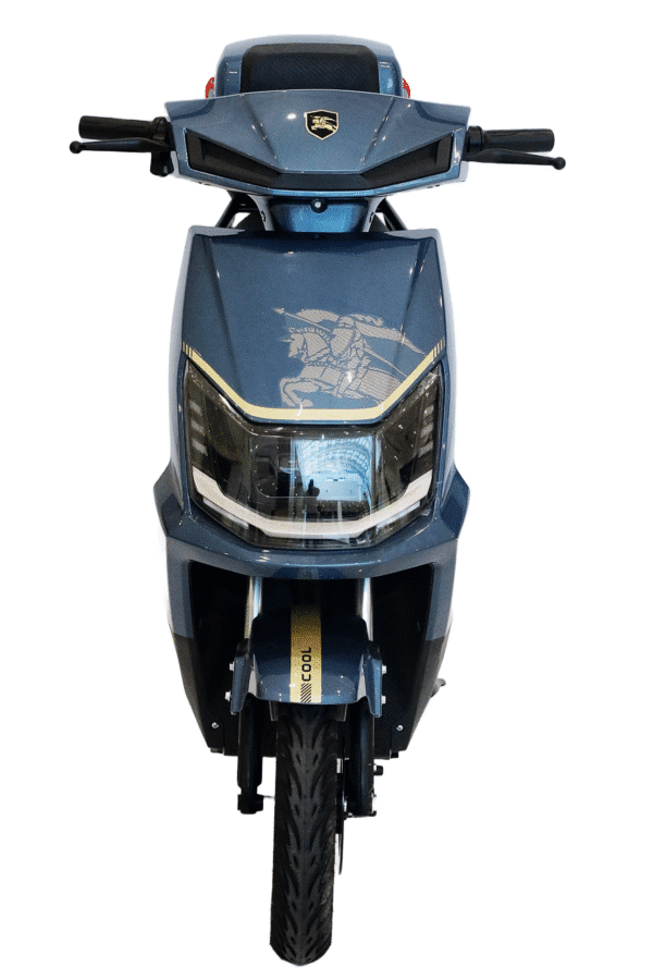 FH-07 Electric Bike with 1500W Motor and Rear Storage